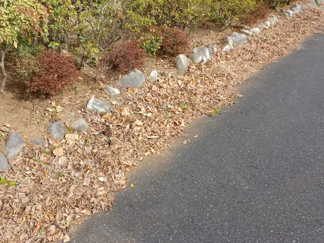 プロの技術でご満足いただけるように心を込めて作業いたしますサービスの画像