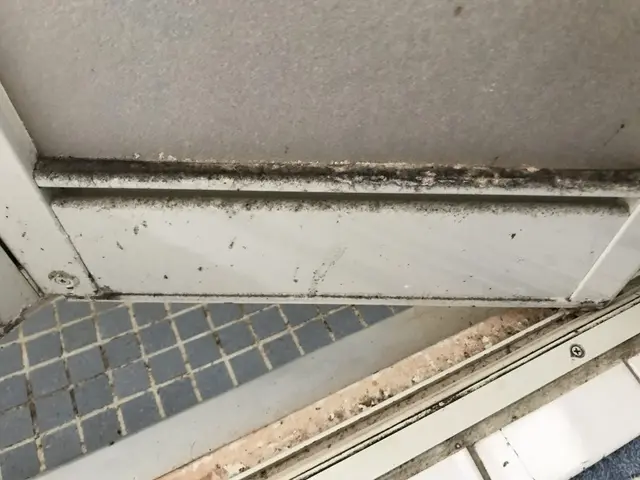 浴室＆追焚配管セット23,000/講師/11/20迄防カビコート無料/カビ施工プサービスの画像