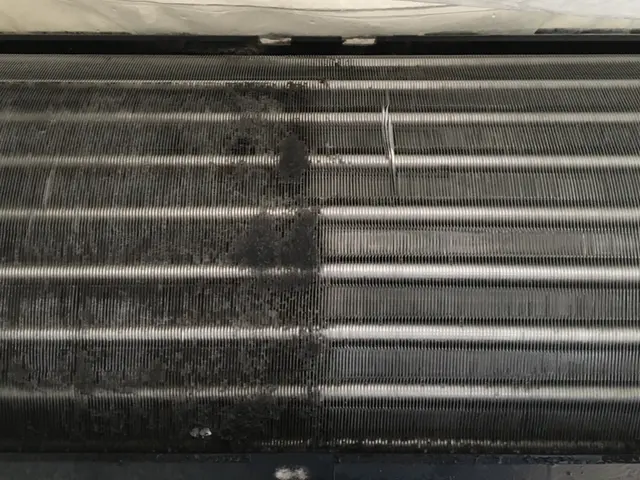 【業歴11年の経験と実績】女性スタッフ同行可能◎アフターフォローもばっちりサービスの画像