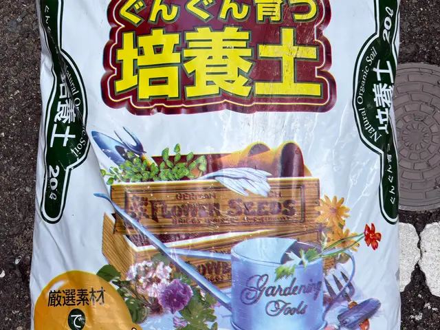 女性スタッフ同行します　居住空間を彩る植物のための鉢植え替えサービスサービスの画像