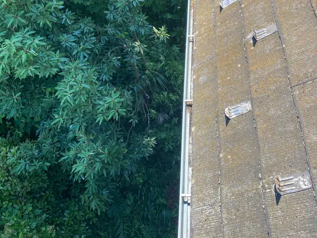 【地域最安値】気になった箇所も修理致します！雨樋以外も！こじま工務店にお任せを♪サービスの画像