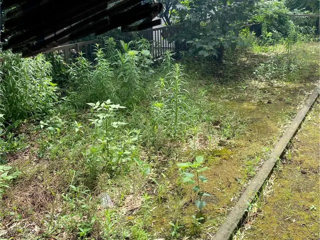 【女性同行】大手ハウスメーカー取引あり！広さにより大幅値下げ！丁寧な作業が評判！サービスの画像