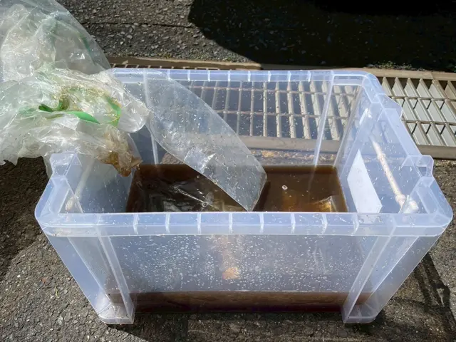 〈今だけ1日一件限定！〉低価格で丁寧に！お客様の生活空間を守ります！サービスの画像