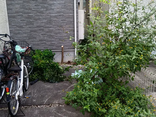 女性スタッフの同行OK◎作業外注一切なし◎当社スタッフがすべてご対応！サービスの画像