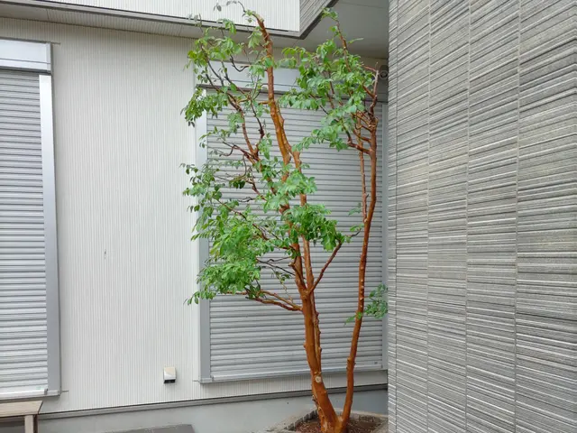 女性スタッフの同行OK◎作業外注一切なし◎当社スタッフがすべてご対応！サービスの画像