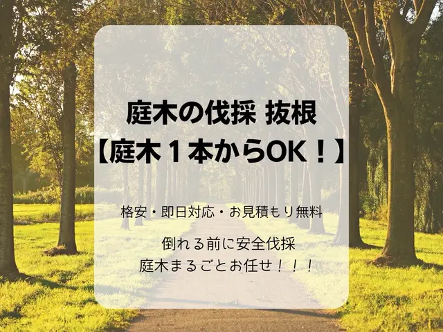 【庭木1本〜OK！】格安・即日対応◎倒れる前に安全伐採◎庭木まるごとお任せ！サービスの画像