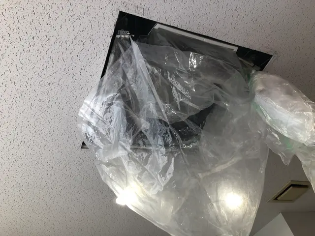 初めての方も安心☆お子様、ペットと暮らす方へ♪天然能登ヒバ油配合抗菌コート使用♫サービスの画像