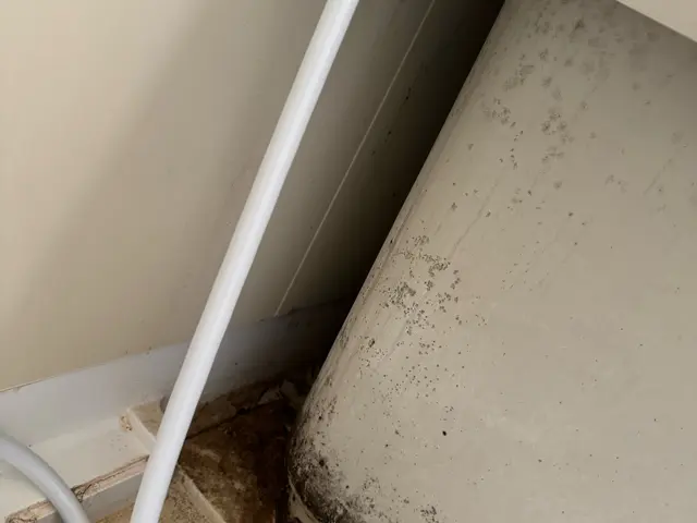 【親切・丁寧】一つ一つの現場を大切に、徹底的に丁寧に仕上げます。サービスの画像