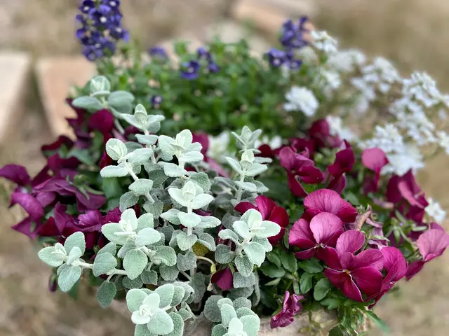 【女性スタッフ対応◎】プロの技術で納得の仕上がりに！ご要望にお応えします。サービスの画像