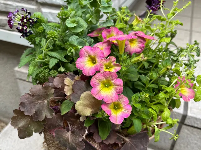 【女性スタッフ対応◎】プロの技術で納得の仕上がりに！ご要望にお応えします。サービスの画像