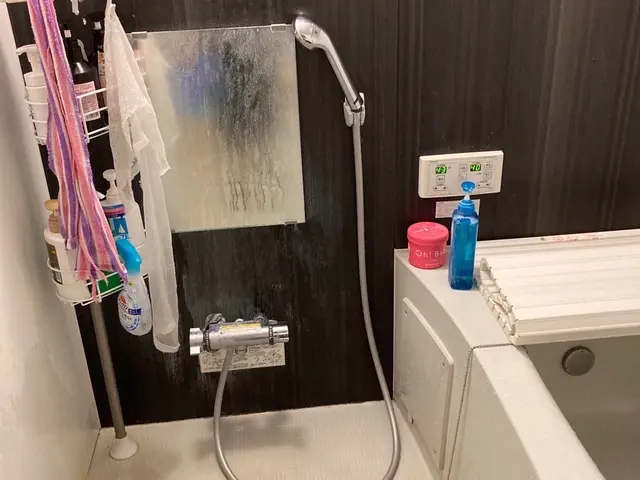 10月【浴室防カビ3300円無料】◆女性の訪問◆浴室高圧洗浄◆セット割でお得！サービスの画像