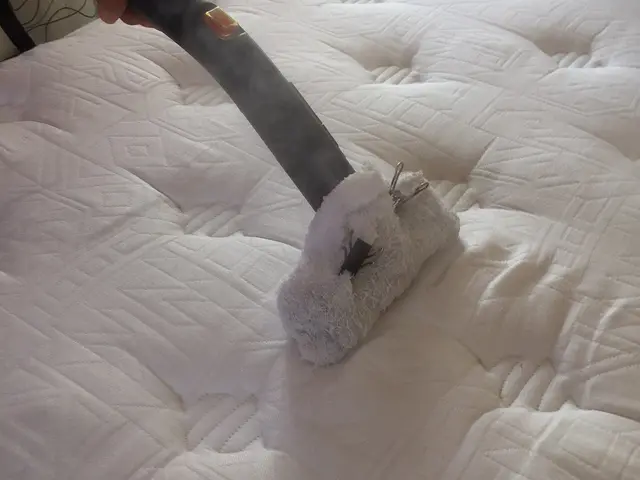 マットレス洗浄技能士が施工★年間120枚以上の経験と実績★女性スタッフ同行可能サービスの画像