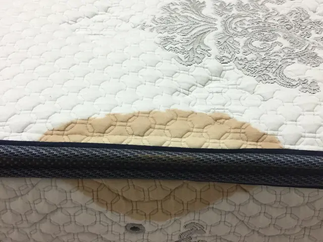 マットレス洗浄技能士が施工★年間120枚以上の経験と実績★女性スタッフ同行可能サービスの画像