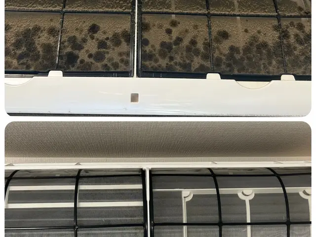 【お掃除機能非対応】夏終いしませんか？空気が変われば、暮らしが変わる！サービスの画像