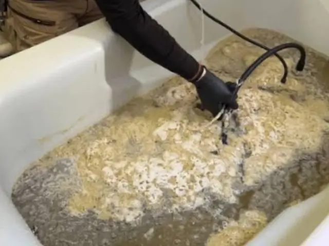 【お客様感謝祭開催中】会社設立21年目！信用信頼の作業実績【セット割】サービスの画像