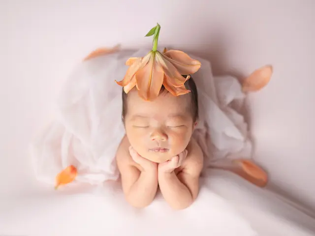 千葉出張撮影/ニューボーンフォト