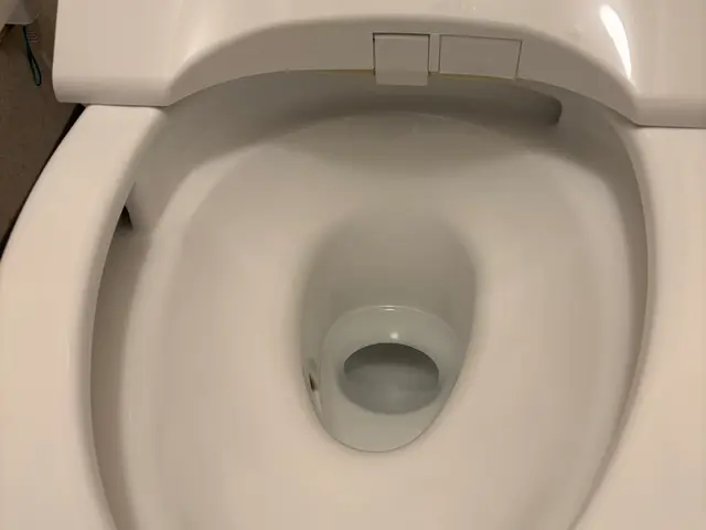 尿石・黒ずみ徹底除去。頑固汚れも根こそぎ洗浄。後払いは対応しておりません。サービスの画像