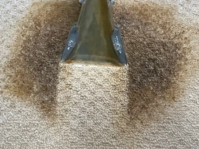 【布製品を洗浄可！】ペットの粗相や嘔吐、飲料等の汚れも可能な限り、除去・清掃！サービスの画像