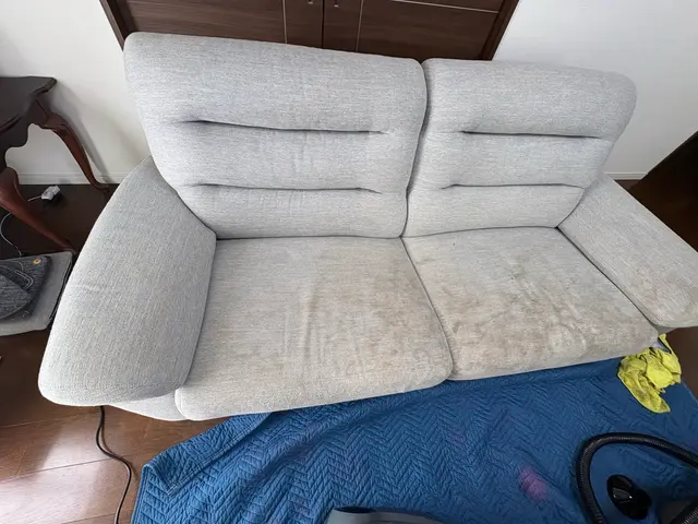 【布製品を洗浄可！】ペットの粗相や嘔吐、飲料等の汚れも可能な限り、除去・清掃！サービスの画像