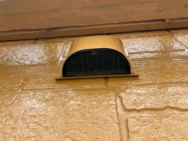 徹底駆除！再発防止のコウモリ対策！サービスの画像