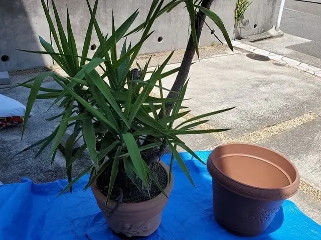 【業歴10年以上の経験】作業外注なし！仕上がり保証あり！お任せください！サービスの画像