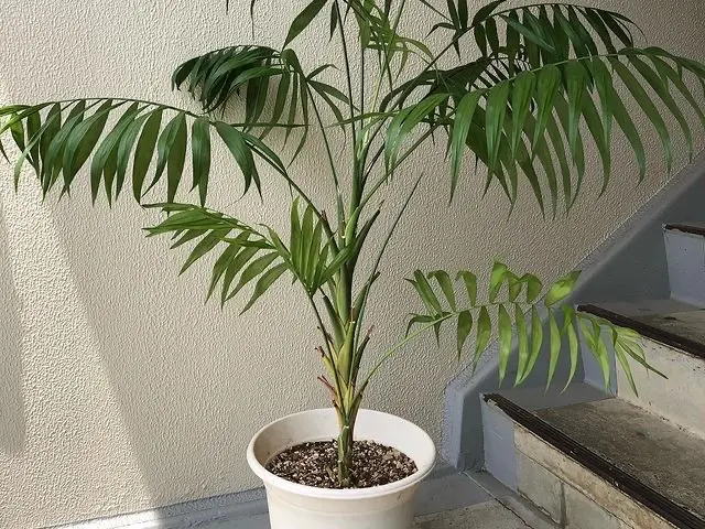 【業歴10年以上の経験】作業外注なし！仕上がり保証あり！お任せください！サービスの画像