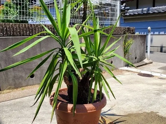 【業歴10年以上の経験】作業外注なし！仕上がり保証あり！お任せください！サービスの画像