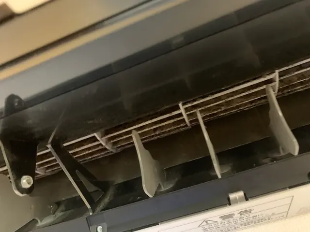 《損害保険加入済み》エアコン洗浄でカビも臭いも一掃します！お子様、ペットも安心！サービスの画像