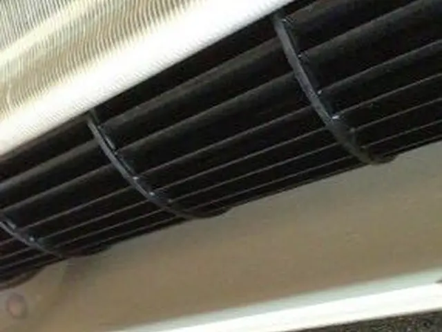 《損害保険加入済み》エアコン洗浄でカビも臭いも一掃します！お子様、ペットも安心！サービスの画像