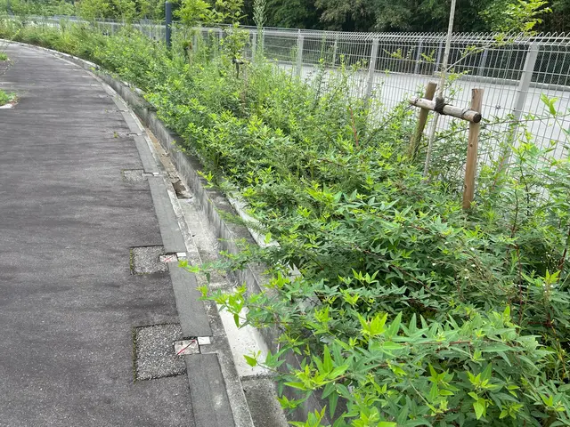 大手での豊富な経験を活かし、お客様一人ひとりのご要望に寄り添った丁寧な対応サービスの画像