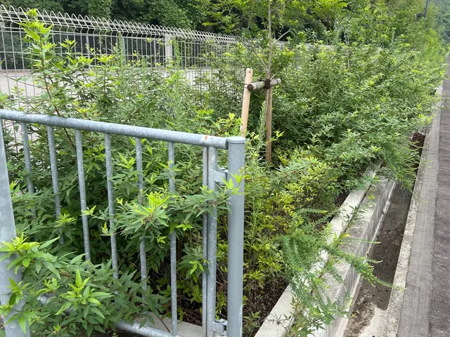 大手での豊富な経験を活かし、お客様一人ひとりのご要望に寄り添った丁寧な対応サービスの画像