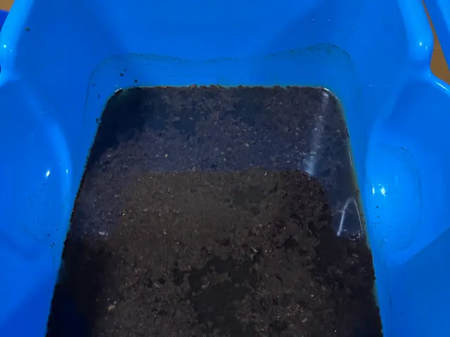 5人の子を持つパパです。コーティングも可★満足度高◉地域外/営業時間外対応可☆サービスの画像