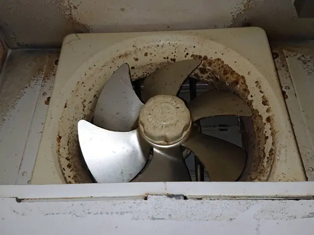 【業界歴10年以上の経験実績】損害保険加入済みで安心◆徹底的に汚れを落とします！サービスの画像