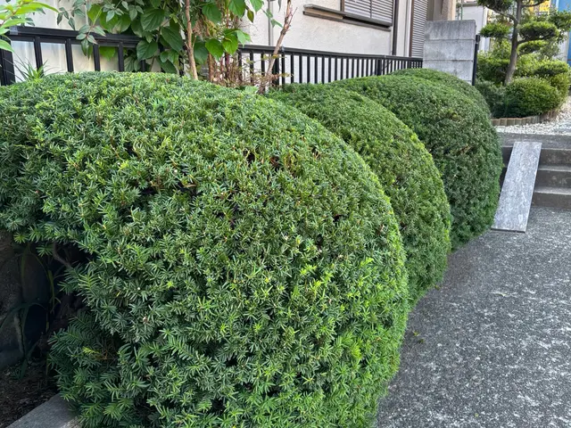 プロの技術でご満足いただけるように心を込めて作業いたします！女性スタッフ同行可サービスの画像