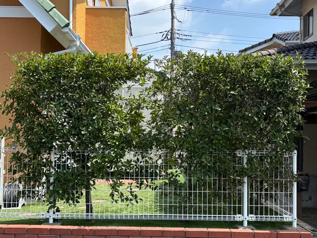 プロの技術でご満足いただけるように心を込めて作業いたします！女性スタッフ同行可サービスの画像