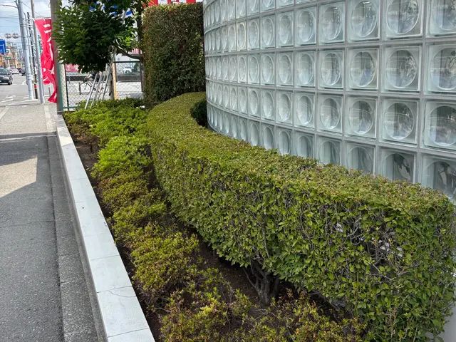 プロの技術でご満足いただけるように心を込めて作業いたします！女性スタッフ同行可サービスの画像