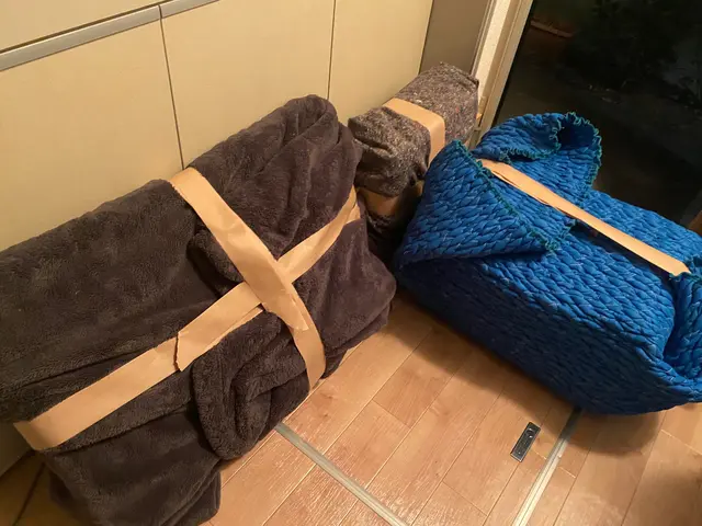 ◎経験豊富 非喫煙◎ 単身引越しお任せください! 縦型洗濯機の設置無料!サービスの画像