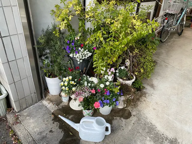 不在でも対応可能◎お庭・畑など水やりお任せ下さいサービスの画像