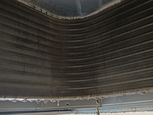 【損害保険加入済み】プロの技術で快適空間を実現サービスの画像