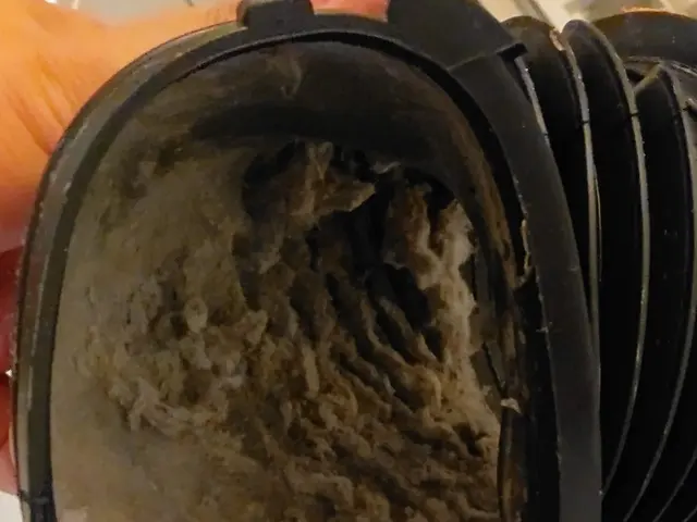 現地決済PayPay対応！徹底除去の洗濯槽クリーニング！当日対応致します！サービスの画像