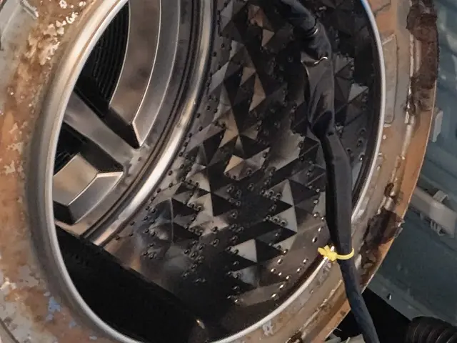 現地決済PayPay対応！徹底除去の洗濯槽クリーニング！当日対応致します！サービスの画像