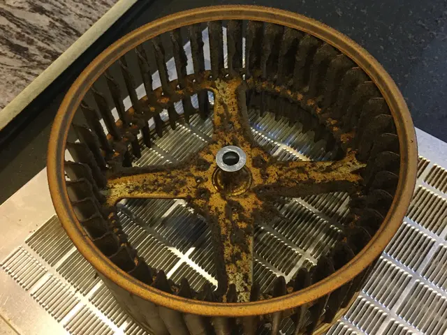 ☆業界老舗・日本ハウスクリーニング協会会員のハウスクリーニング士が伺います☆サービスの画像