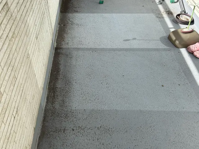 汚れ　苔　洗浄致します【早朝対応致します◎】営業時間外・対応地域外もご相談可能◎サービスの画像