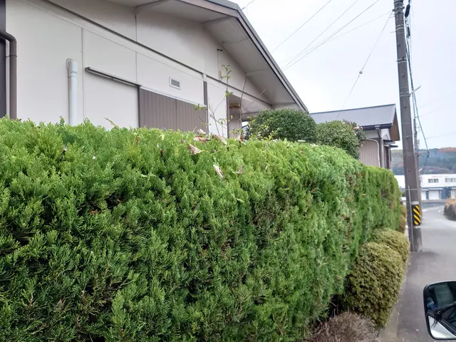 ★お庭も心も軽やかに(*^^*) ★庭木１本～OK★キャッシュレス決済OKサービスの画像