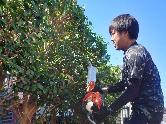 ★お庭も心も軽やかに(*^^*) ★庭木１本～OK★キャッシュレス決済OKサービスの画像