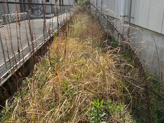 刈り取りから処分まで一括対応！営業時間外・地域外も柔軟に相談可能で安心サービスの画像