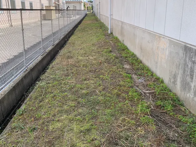 刈り取りから処分まで一括対応！営業時間外・地域外も柔軟に相談可能で安心サービスの画像