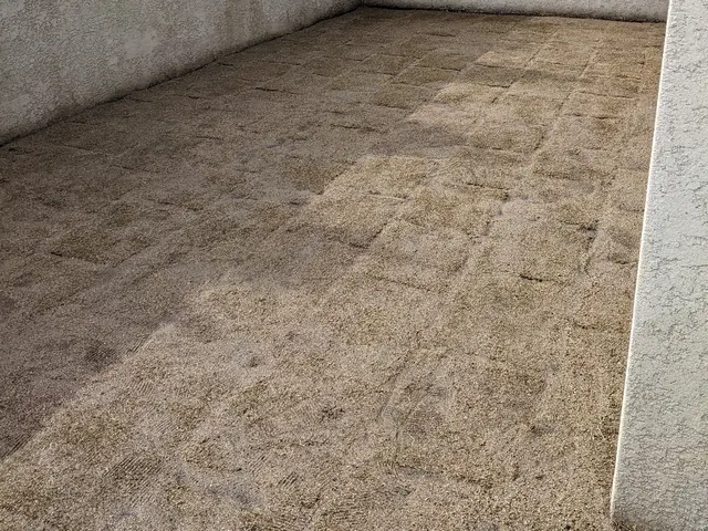 芝生張り付け、芝生張替え　熱くなりすぎず足にも優しい。これからの季節オススメですサービスの画像