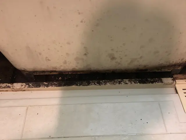 [お風呂掃除は大変]定期的にプロに任せて「キレイ」をリセットしませんか！損保加入サービスの画像