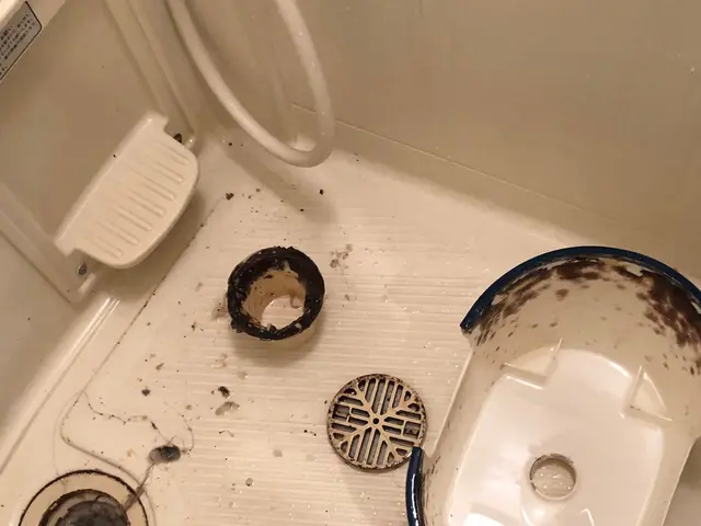 [お風呂掃除は大変]定期的にプロに任せて「キレイ」をリセットしませんか！損保加入サービスの画像